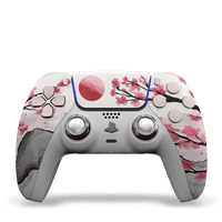 manette-ps5-custom-Hanami-avant-draw-my-pad